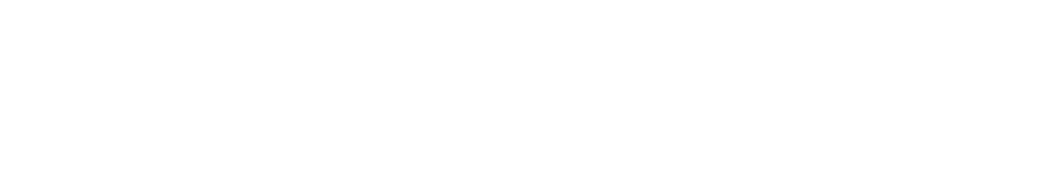 Logo Dix Digital